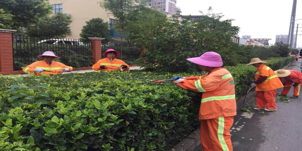 新站區(qū)道路清掃保潔、綠化管養(yǎng)項目